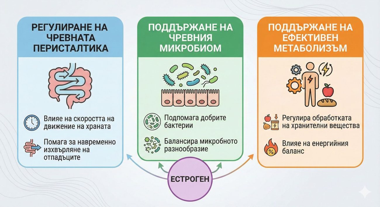 Запекът след 45г. НЕ е рядкост! Как хормоните влияят на храносмилането и какво можеш да направиш?